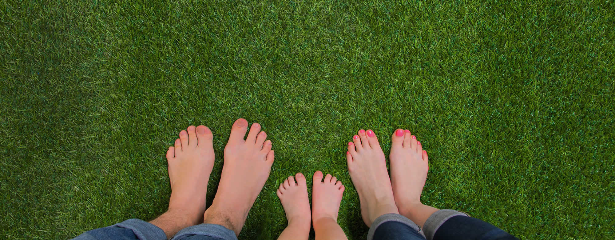 Lawn Care Treatment Glenville