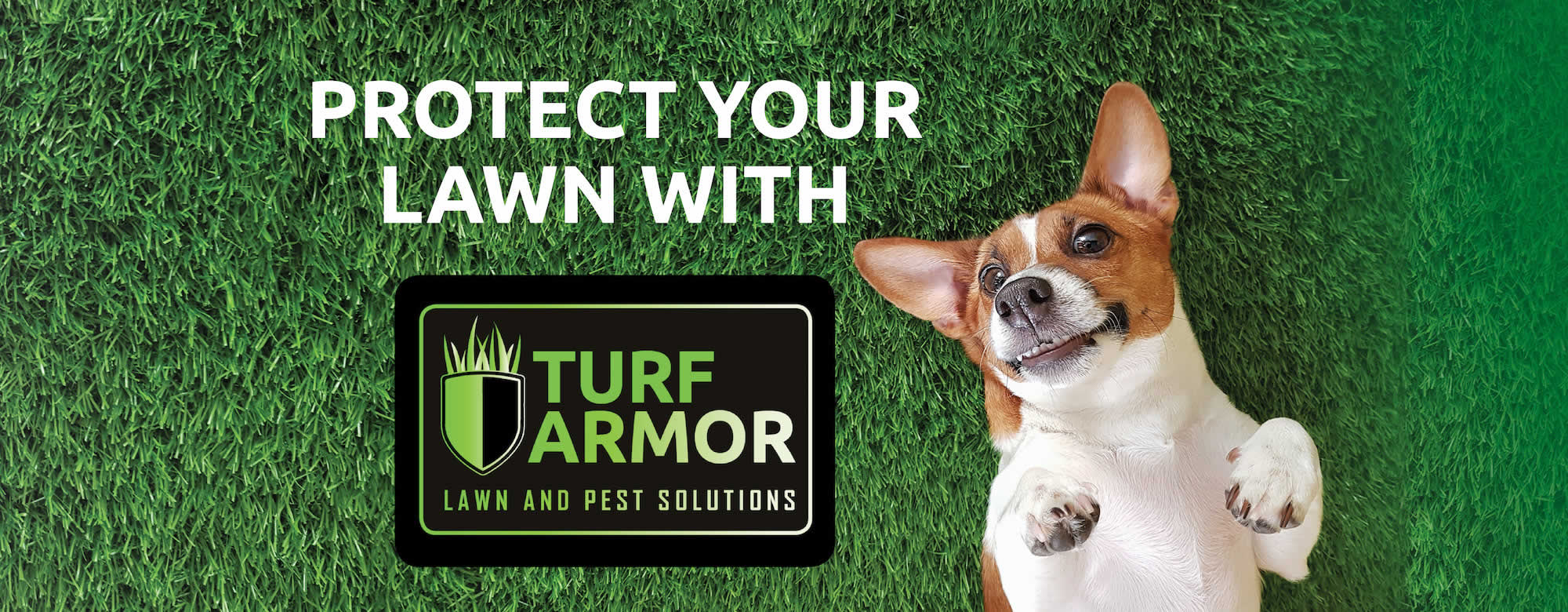Lawn Maintenance Services