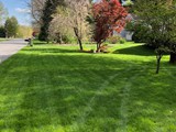 IMG_1963