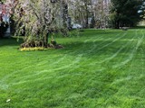 IMG_1967